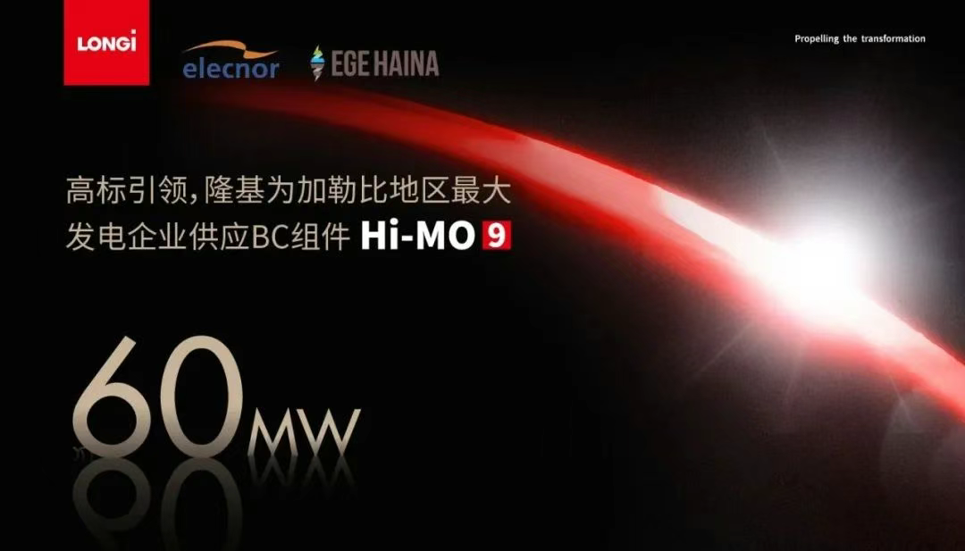 参会企业 | 高标引领，隆基为加勒比地区最大发电企业供应BC组件Hi-MO 9