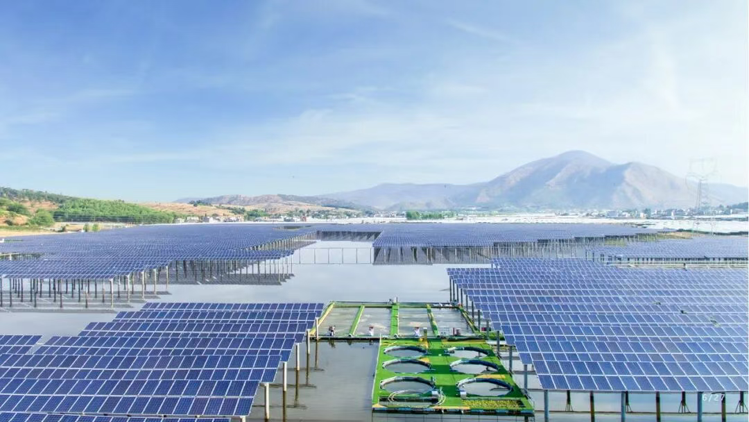 平行会议丨抢抓“十五五”发展机遇！中国新能源产业高质量发展论坛精彩议程公布