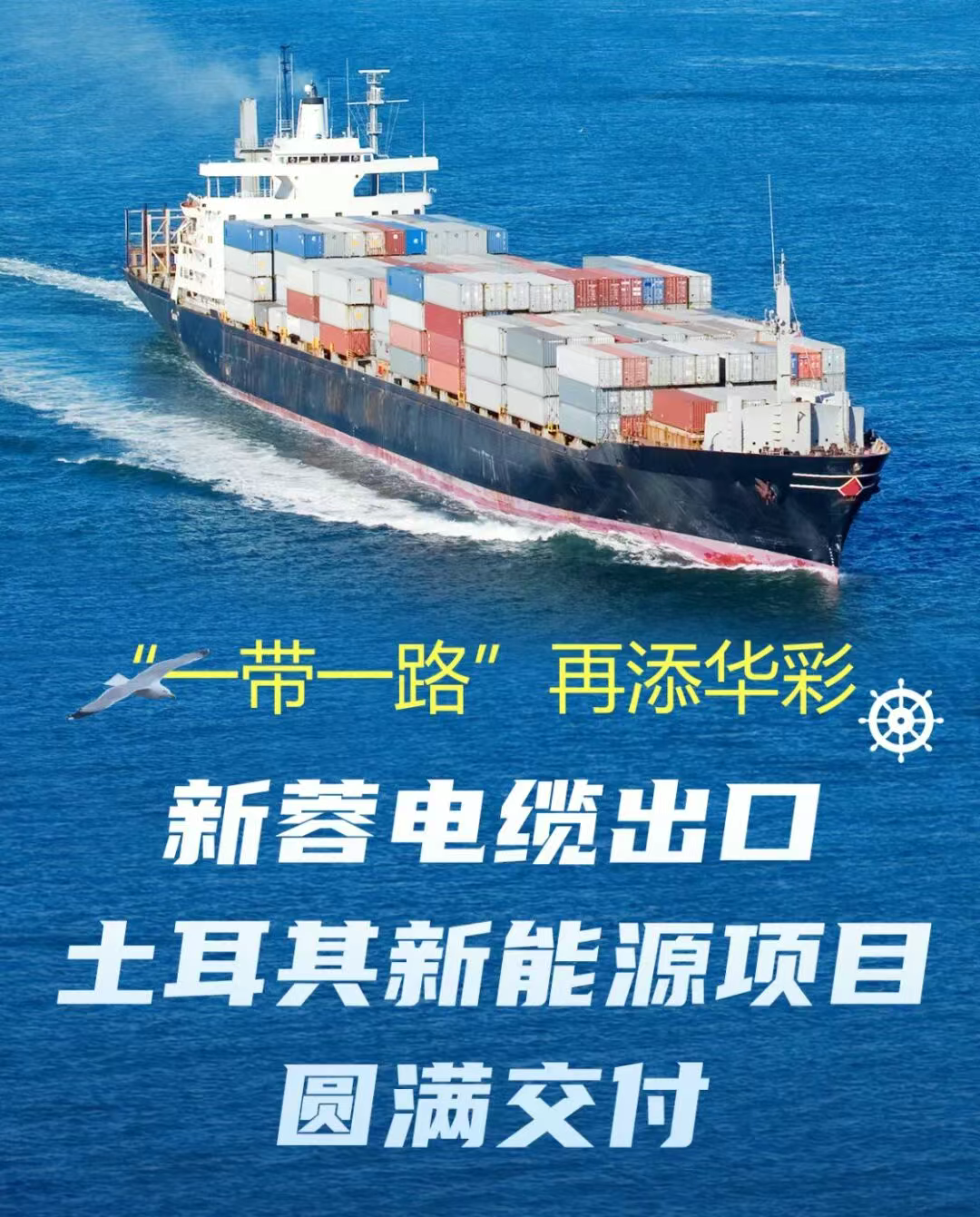 参会企业丨新蓉电缆出口土耳其新能源项目圆满交付，为“一带一路”再添华彩