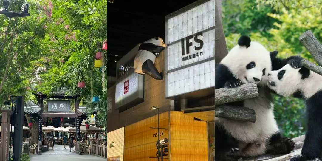 第二届钙钛矿与叠层电池（大西南）产业化论坛携手著名高校团队，演讲嘉宾阵容公布